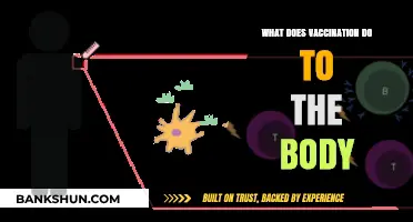 How Vaccines Strengthen Immunity and Protect Your Body's Health