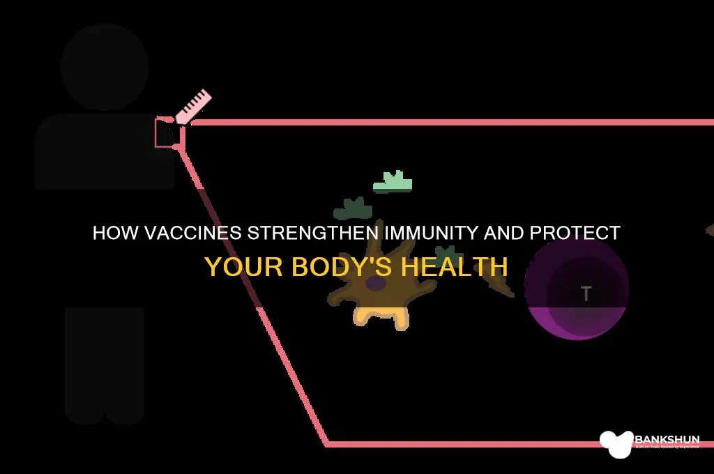 what does vaccination do to the body