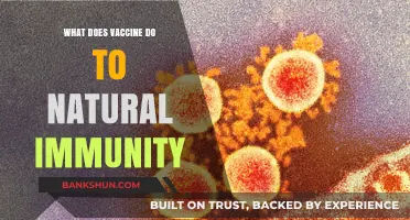 Vaccines vs. Natural Immunity: Strengthening or Replacing Our Body's Defenses?