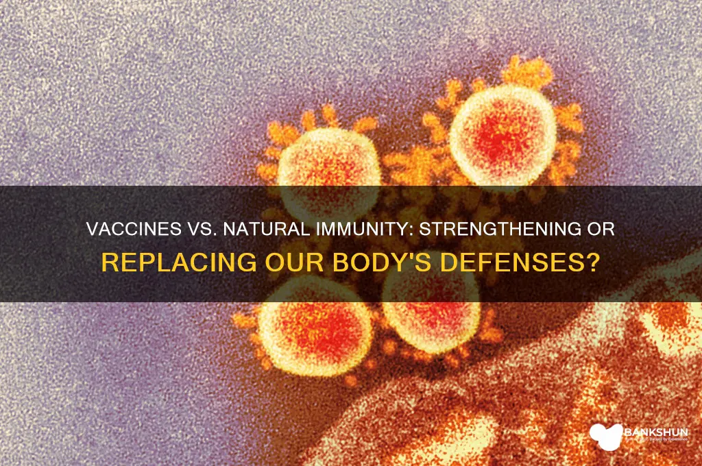 what does vaccine do to natural immunity