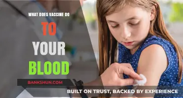 How Vaccines Interact with Your Blood: A Comprehensive Guide