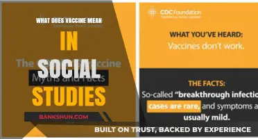 Understanding Vaccines: Social Impact, History, and Public Health Significance