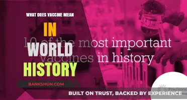 Vaccines: A Global Journey Shaping Health and Human History