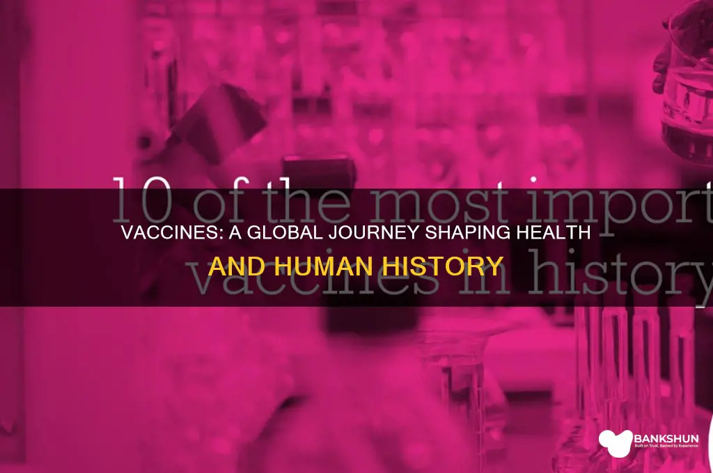what does vaccine mean in world history