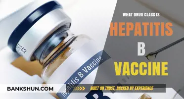 Understanding Hepatitis B Vaccine: Drug Class and Its Role in Prevention