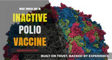 Inactive Polio Vaccine: Understanding Its Composition and Drug Components