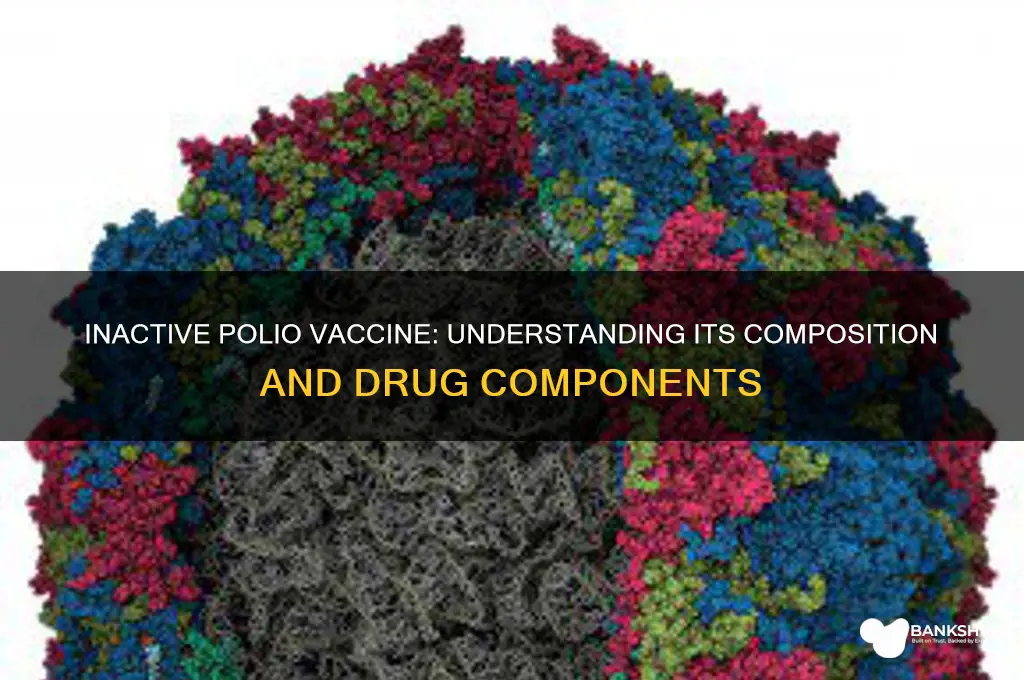 what drugs are in inactive polio vaccine