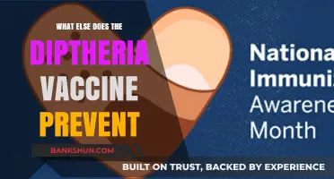 Beyond Diphtheria: Surprising Diseases Prevented by the Vaccine