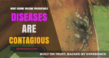 Contagious Equine Diseases: Vaccine-Preventable Threats to Horse Health