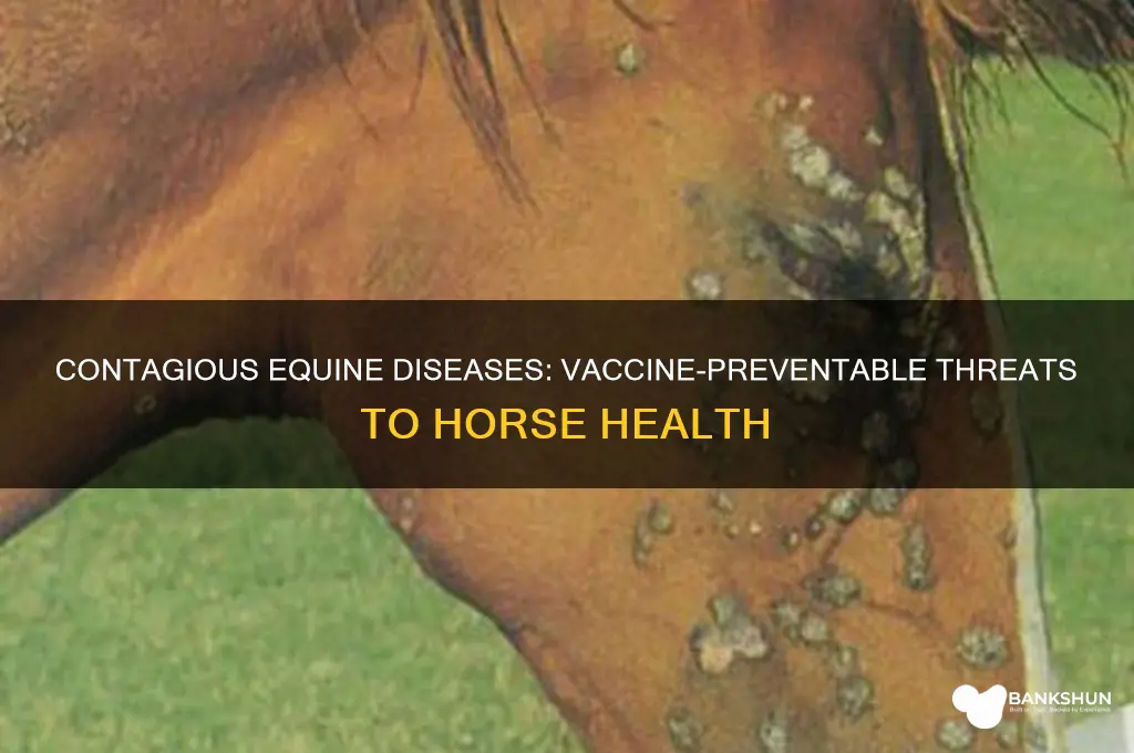 what equine vaccine preventable diseases are contagious