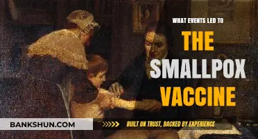 The Revolutionary Journey to the Smallpox Vaccine: Key Historical Events