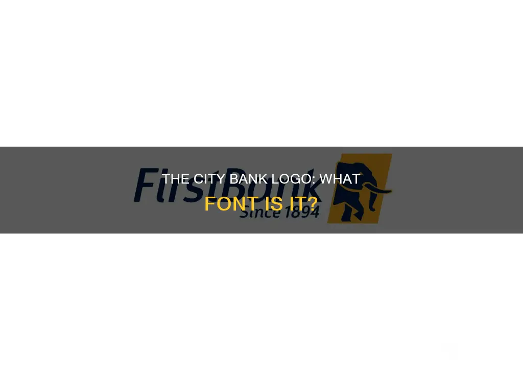 what font is the city bank logo