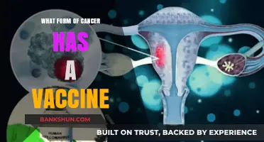 Cervical Cancer: The Preventable Disease with a Life-Saving Vaccine
