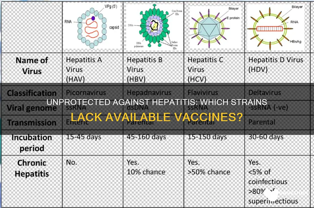 what form of hepatitis has no vaccine