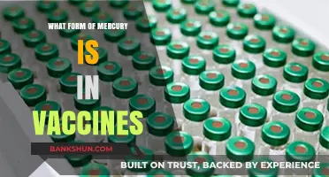 Understanding Thimerosal: The Mercury Compound in Vaccines Explained