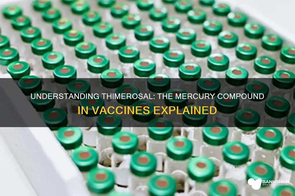 what form of mercury is in vaccines