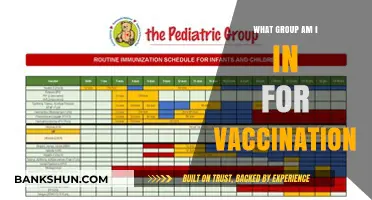 Understanding Your Vaccination Group: A Guide to Eligibility and Priority