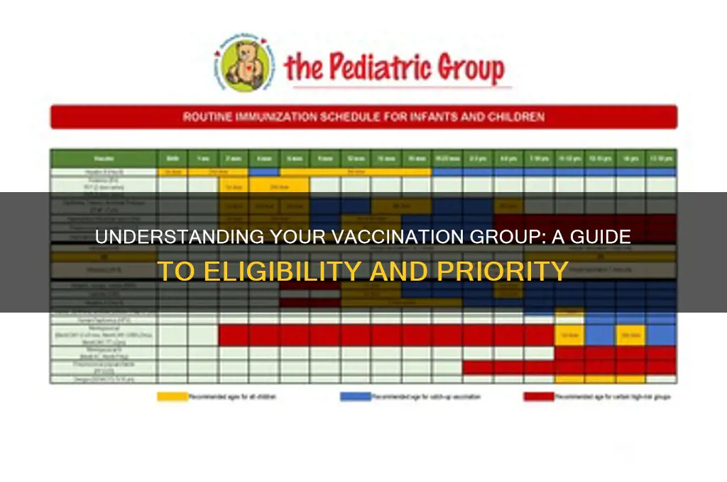 what group am i in for vaccination