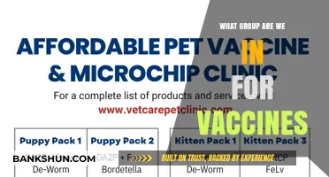 Understanding Vaccine Groups: Which Category Do You Belong To?