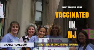 NJ Vaccine Rollout: Which Groups Are Eligible for COVID-19 Shots Now?