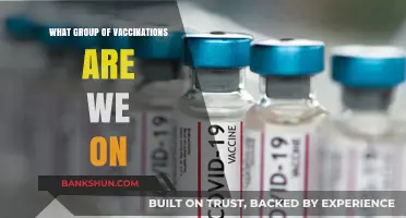 Tracking COVID-19 Vaccine Rollout: Which Group is Next in Line?