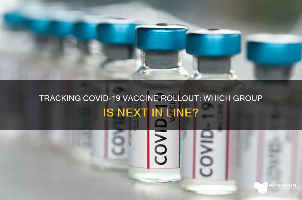what group of vaccinations are we on