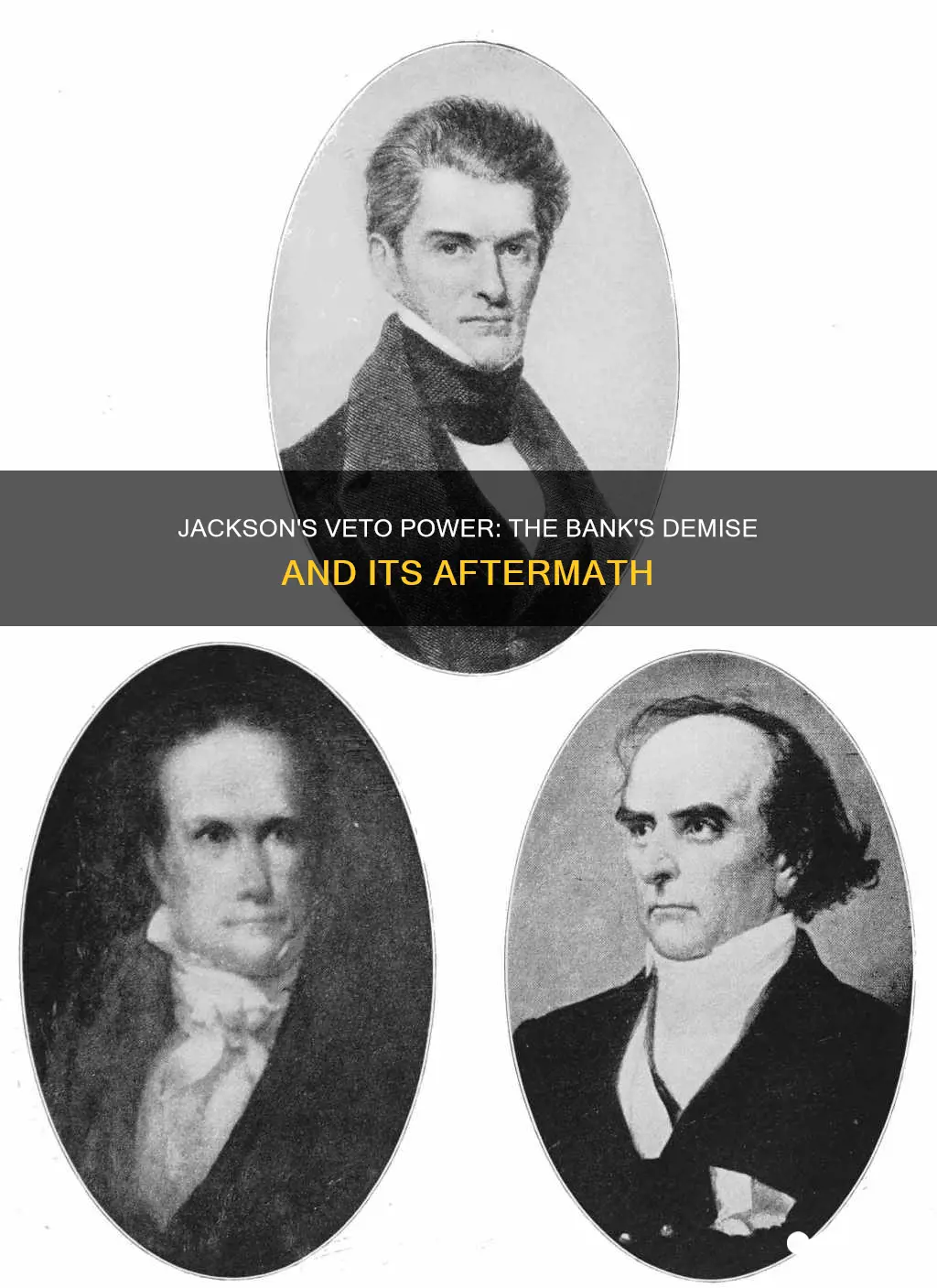 what happened after jackson vetoed the bank