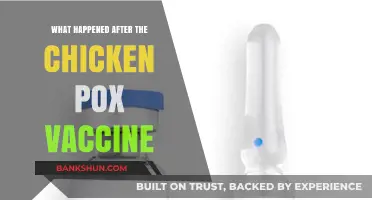 Post-Chickenpox Vaccine Era: Health Impacts and Disease Decline Explained