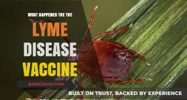 The Disappearance of the Lyme Disease Vaccine: What Really Happened?