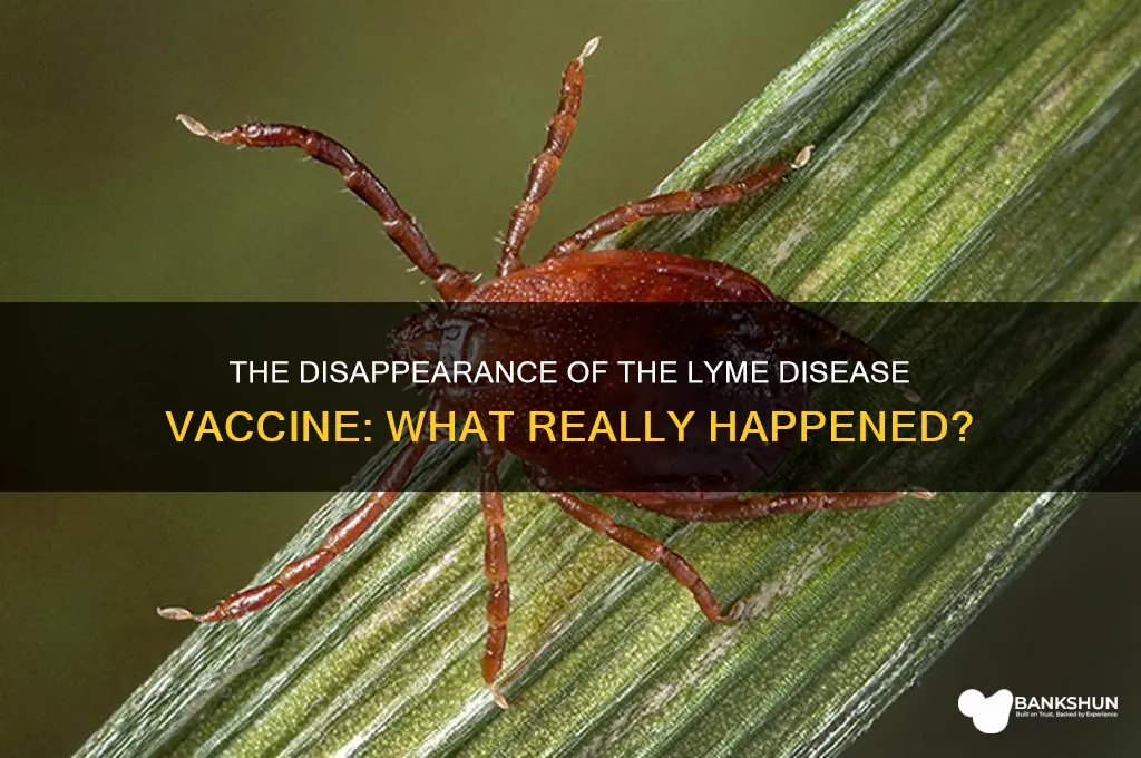 what happened the the lyme disease vaccine