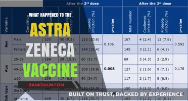 AstraZeneca Vaccine: Safety Concerns, Global Response, and Current Status