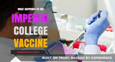 Imperial College Vaccine: Development Halt and Future Prospects
