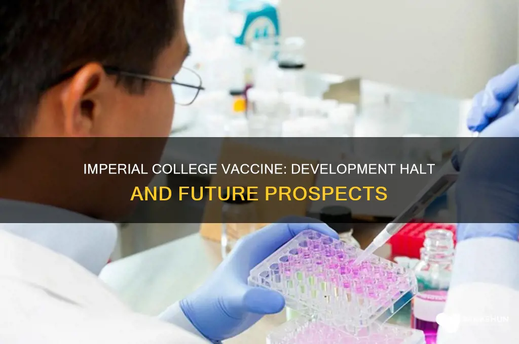 what happened to the imperial college vaccine