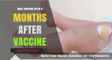Post-Vaccine Journey: Understanding Your Body's Response After Six Months