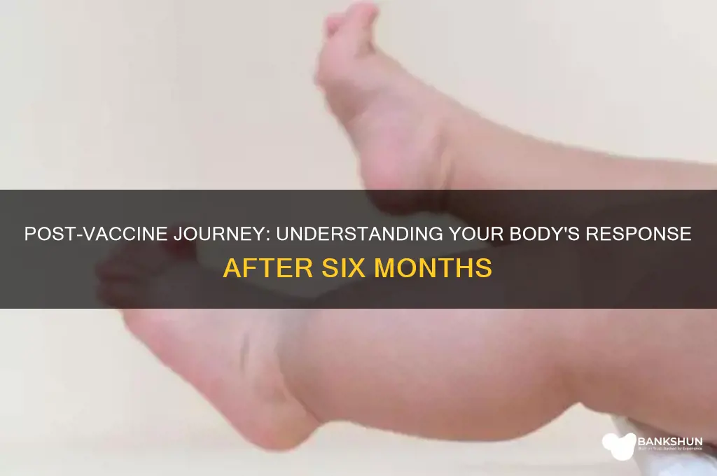 what happens after 6 months after vaccine