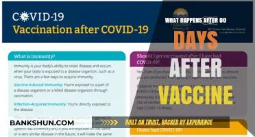 Post-Vaccine Journey: Understanding Your Body After 90 Days