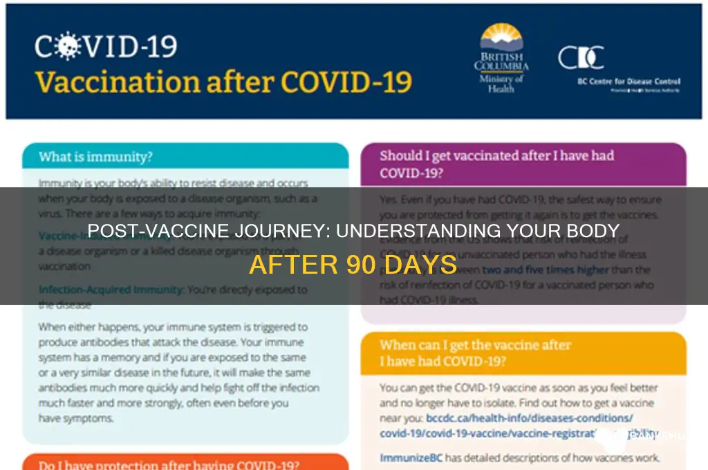 what happens after 90 days after vaccine
