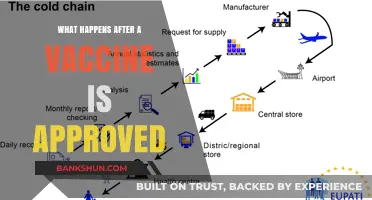 From Approval to Distribution: The Post-Vaccine Journey Explained