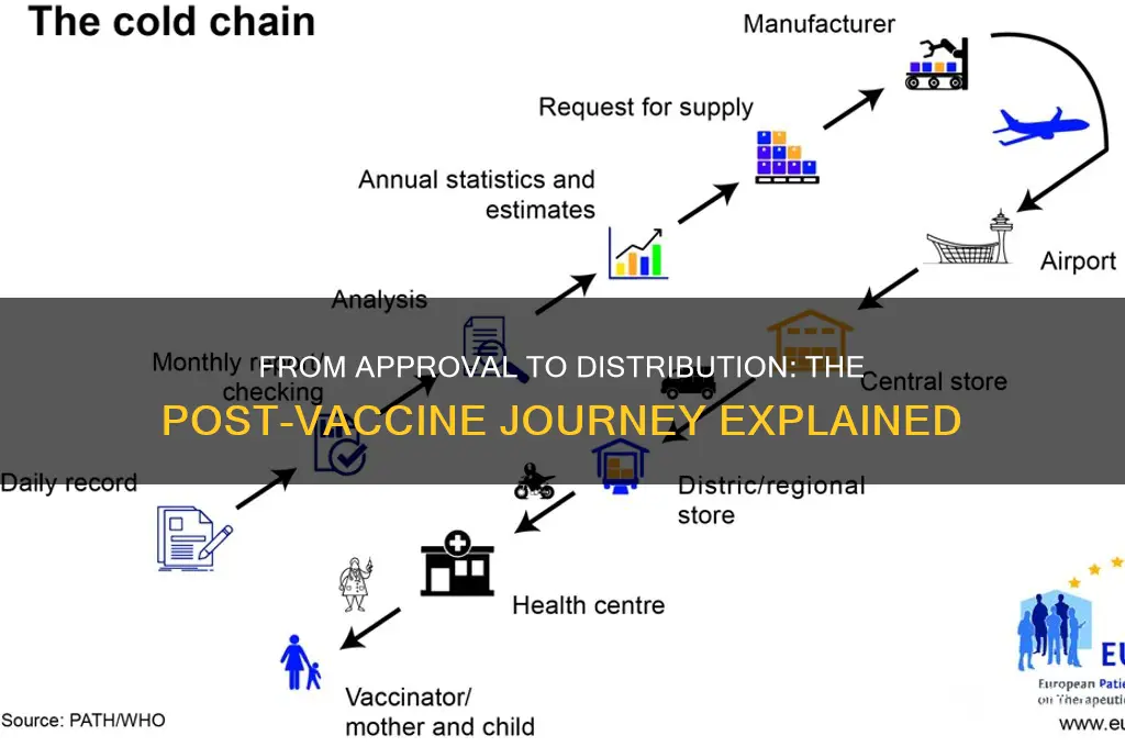 what happens after a vaccine is approved