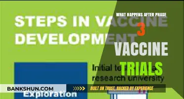 Post-Phase 3: Vaccine Approval, Distribution, and Monitoring Explained