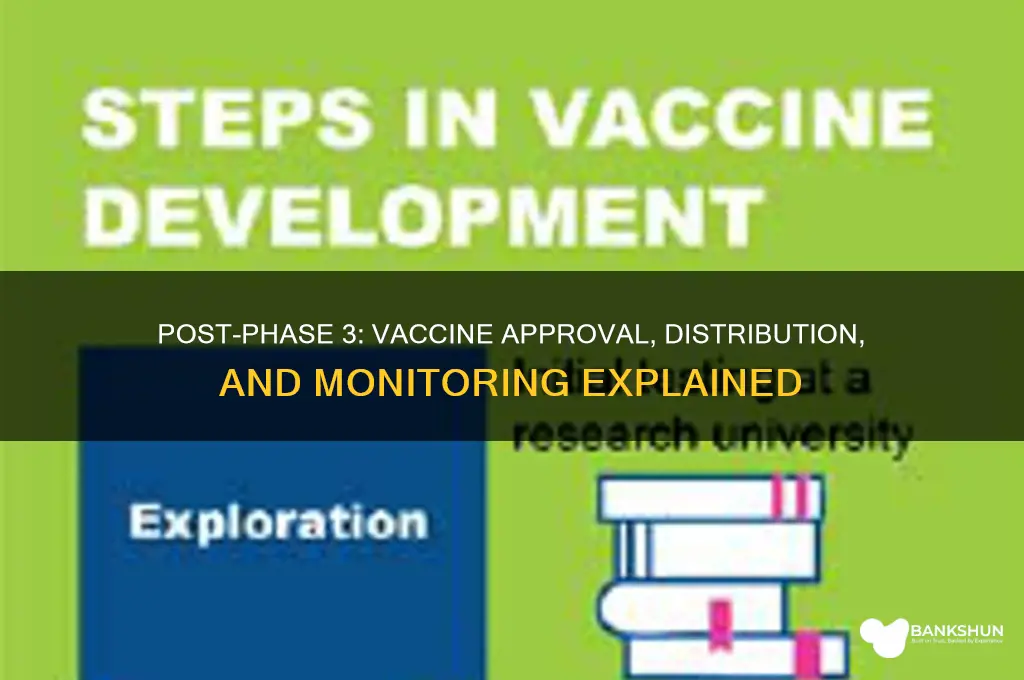 what happens after phase 3 vaccine trials
