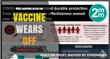 Post-Vaccine Immunity: What Happens When Protection Wanes Over Time?