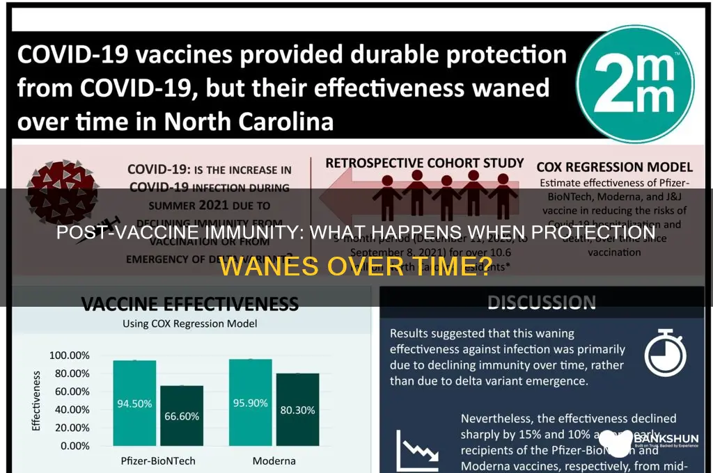 what happens after the vaccine wears off