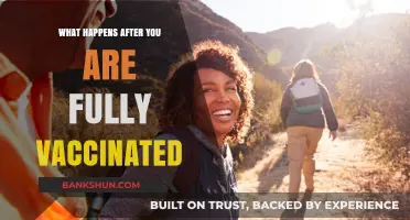 Life After Vaccination: What to Expect Post-Full Immunization