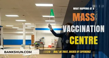 Inside Mass Vaccination Centres: Processes, Safety, and What to Expect
