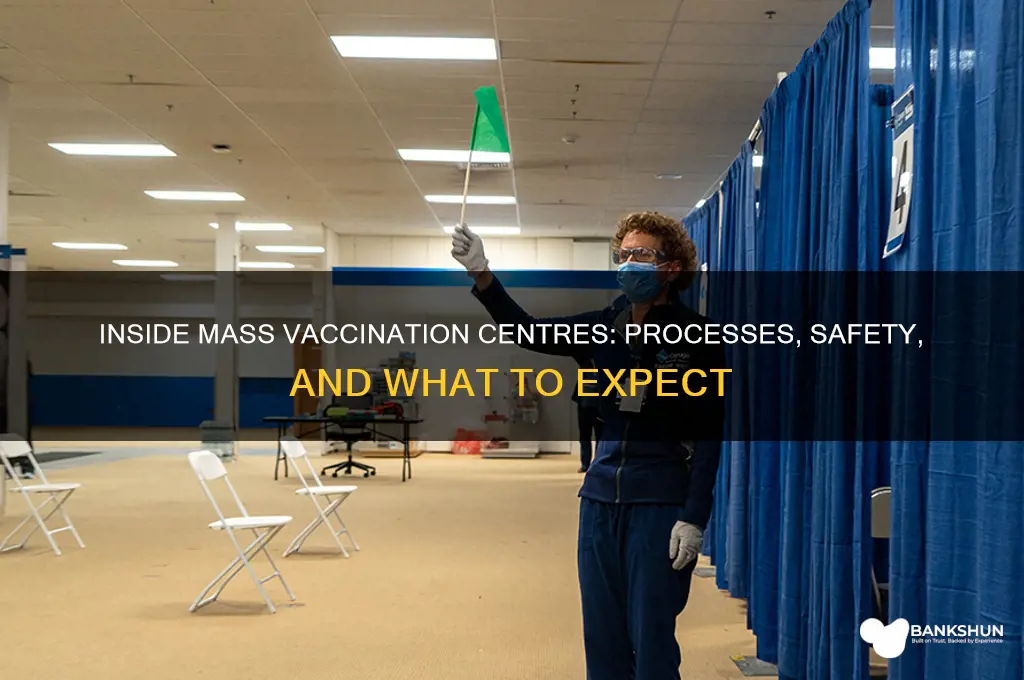 what happens at a mass vaccination centre