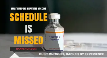 Missed Hepatitis Vaccine Schedule: Risks, Catch-Up, and Prevention Tips