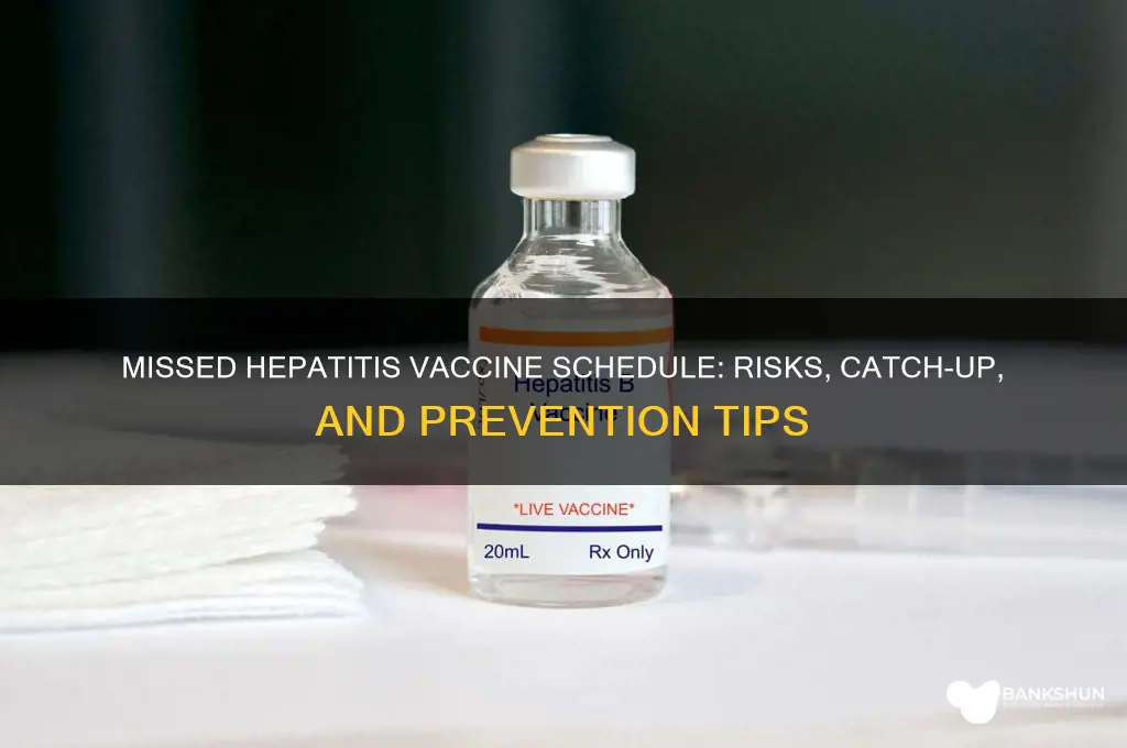 what happens hepatitis vaccine schedule is missed