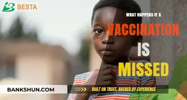 Missed Vaccination: Consequences, Risks, and Catch-Up Strategies Explained