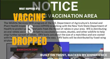 Dropped Vaccine: Consequences, Safety Protocols, and Proper Handling Explained